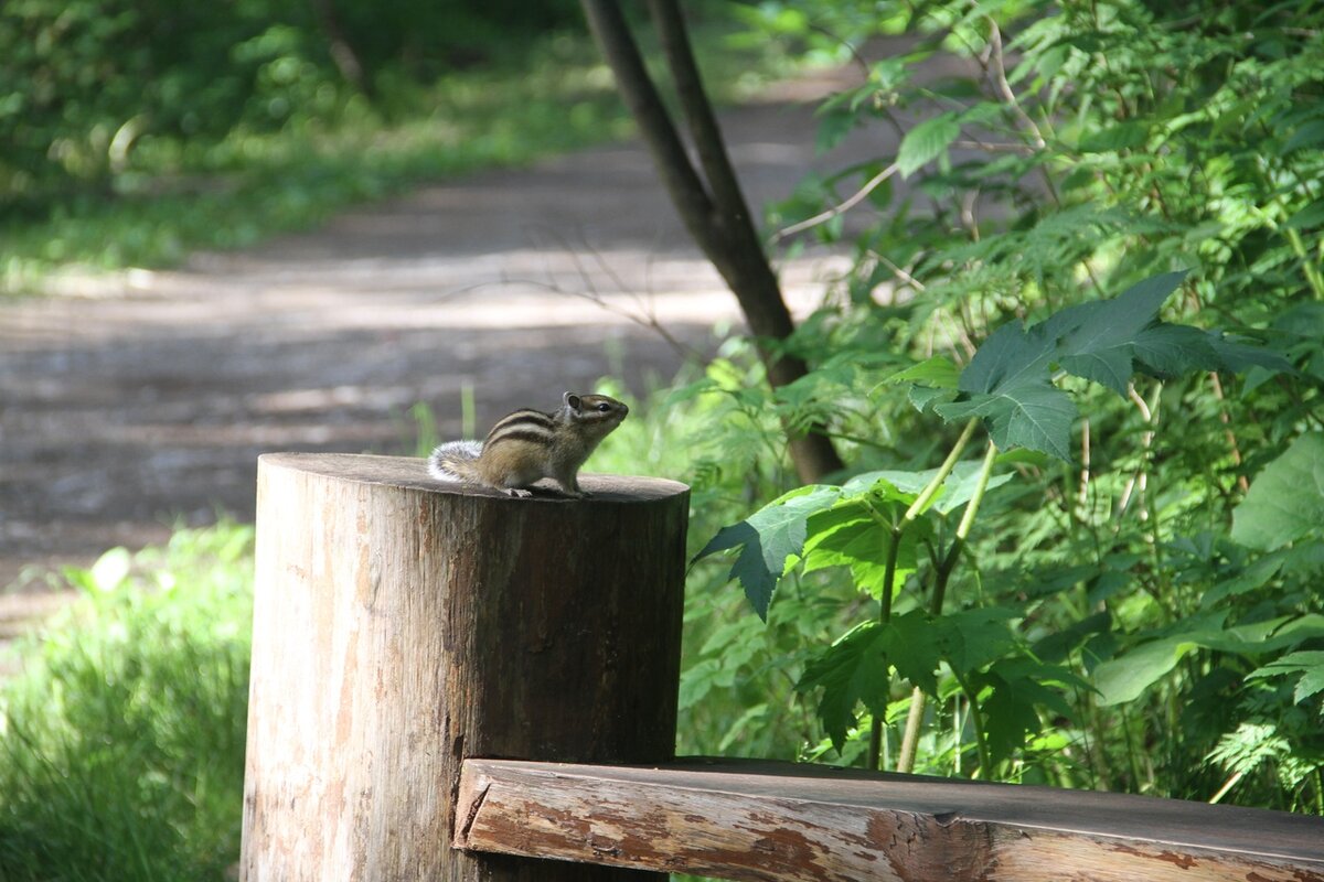 2018, Красноярские Столбы, Россия, фото из семейного архива