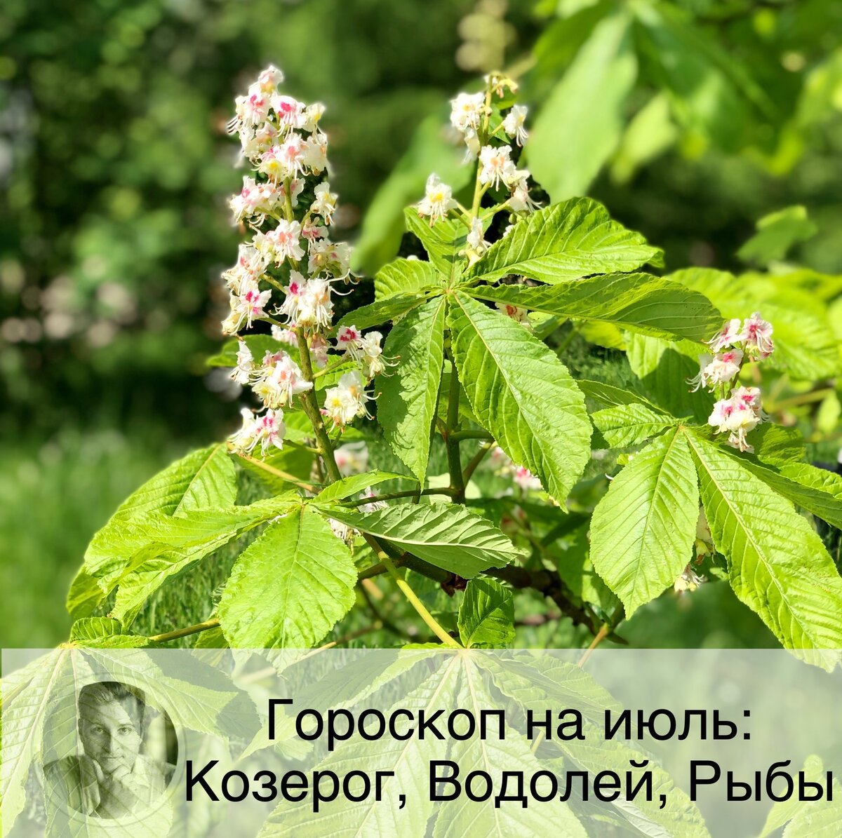 Гороскоп для всех знаков зодиака можно посмотреть на моем сайте в разделе «Статьи». Также как и нумерологический прогноз по дате рождения на 2020 г. и тайну своего имени. В личном кабинете, зарегистрировавшись по ссылке в описании профиля, или забив в поисковике "астролог Олег Персидский" 👩🏼‍💻

🐐 Козерог
❤️ В семье у Козерогов накопилось много ситуаций, решение которых давно откладывалось. Сейчас самое время взяться за них. В отношениях с домочадцами старайтесь идти на компромисс, иначе проблем не избежать. Судьбоносная для одиноких Козерогов встреча может произойти в неожиданный момент.
💶 В июле Козероги будут настроены на партнерство и командную работу. Особенно не стоит расчитывать только на себя при решении юридических и финансовых вопросов. Финансовая ситуация особо не изменится, но многие текущие дела вы сумеете закончить, что создаст хорошие предпосылки для роста в будущем.
🤒 В июле Козерогов могут беспокоить суставы.

🌊 Водолей
❤️ Одинокие Водолеи смогут отпустить прошлые эмоции и стать открытыми новым отношениям. У семейных представителей знака есть опасность интрижки на стороне.
💶 Вполне вероятно, что у Водолеев прибавится работы в июле. Сейчас хорошее время для поиска нового места, модернизации рабочих процессов и внедрения полезных идей в бизнес. Финансовое положение будет более стабильным.
🤒 Во второй половине месяца обратите особое внимание на состояние своего здоровья. Рекомендуется пройти обследование.

🐟🐠Рыбы
❤️ В июле лучше поставить семью в приоритет, чем погружаться в работу. В этом месяце Рыбы могут перевести отношения на новый уровень. У одиноких представителей знака есть все шансы начать новые отношения, но скорее всего вы будете очень требовательны к будущему партнеру.
💶 Постарайтесь деловые переговоры планировать на вторую половину месяца так же, как и другие важные дела. Финансовая ситуация должна быть достаточно ровной, возможно вы получите какую-то помощь от близких людей.
🤒 В июле рекомендуется заняться здоровьем зубов.