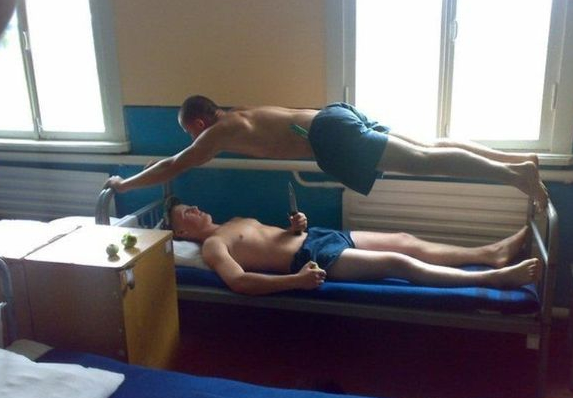 сушка крокодилов