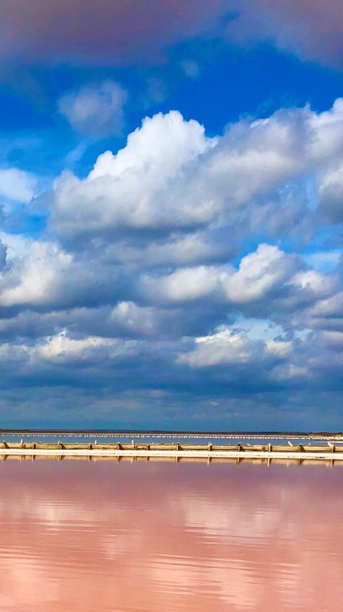 Озеро Сасык-Сиваш в Крыму находится между Евпаторией и Саками. Его ил и рапа не уступают по целебным свойствам грязям Мертвого моря. Сюда приезжают отдохнуть, поправить здоровье и сделать яркие снимки.