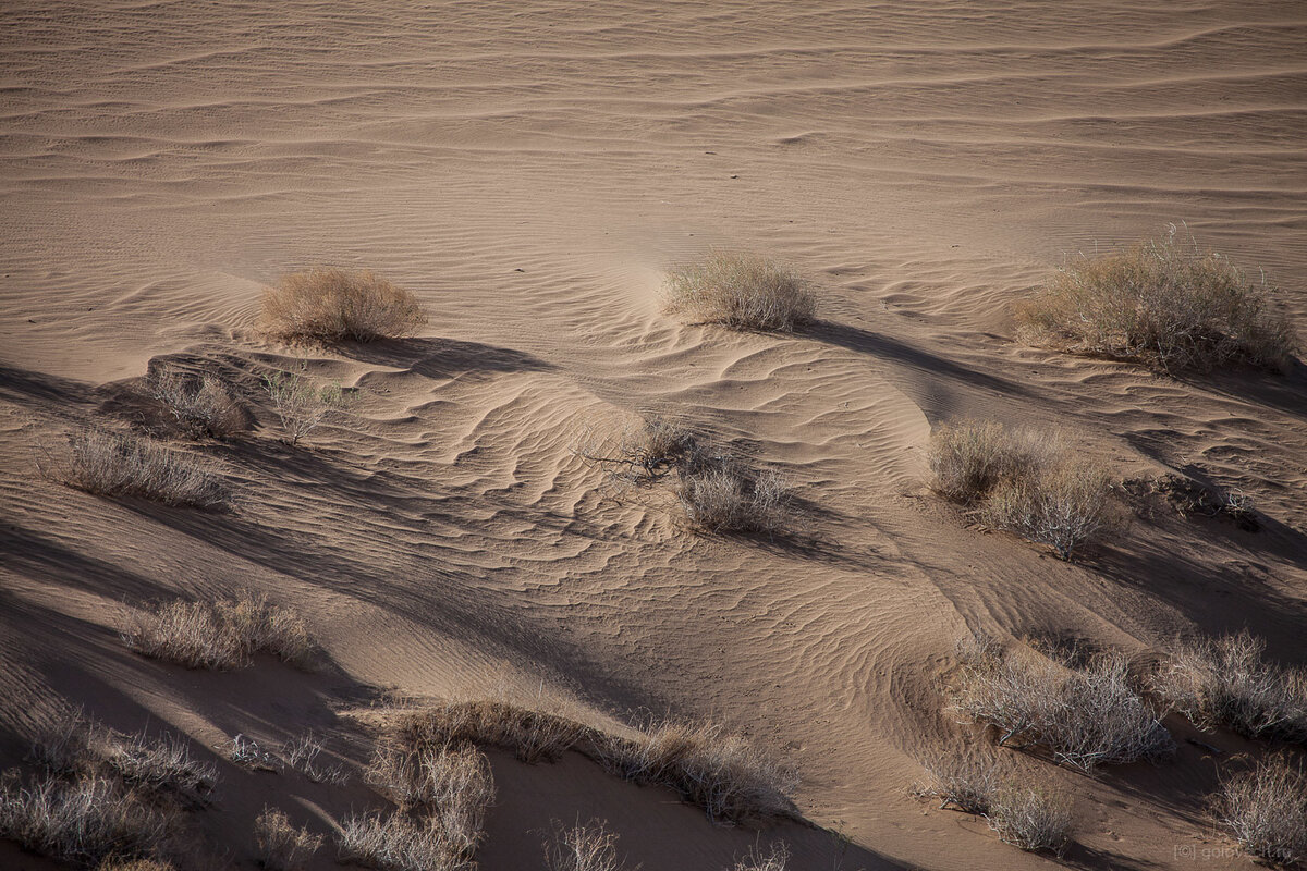 Застывшая красота песка в пустыне Гоби. Я был поражён и впечатлён ???