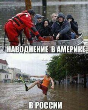 ЕМаьсли, что наши могут ещё и на медведе плавать!