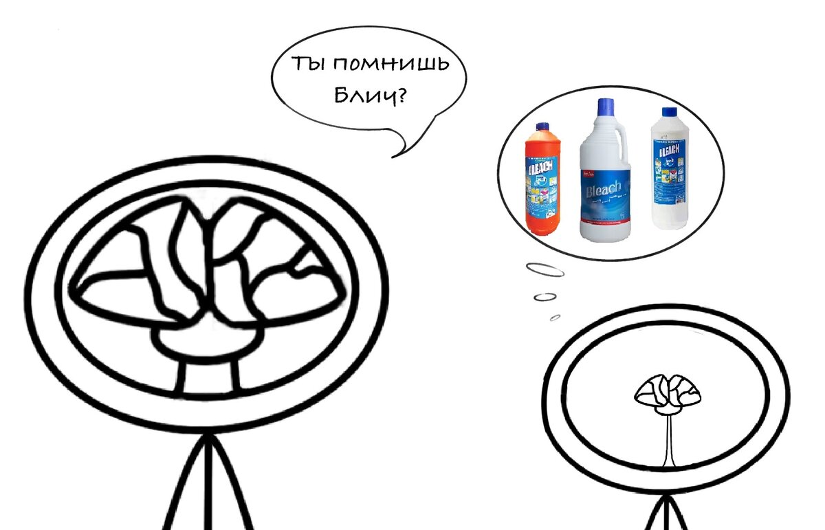 Ты помнишь Блич, что такое Блич?