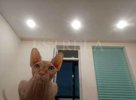 Натяжной потолок с закарнизной нишей