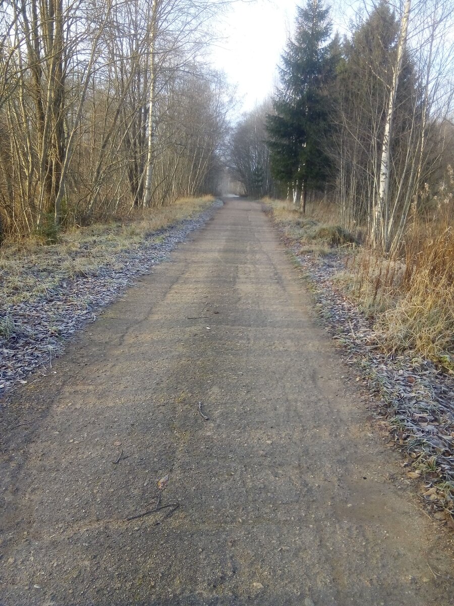 Летом должно быть очень красиво. 