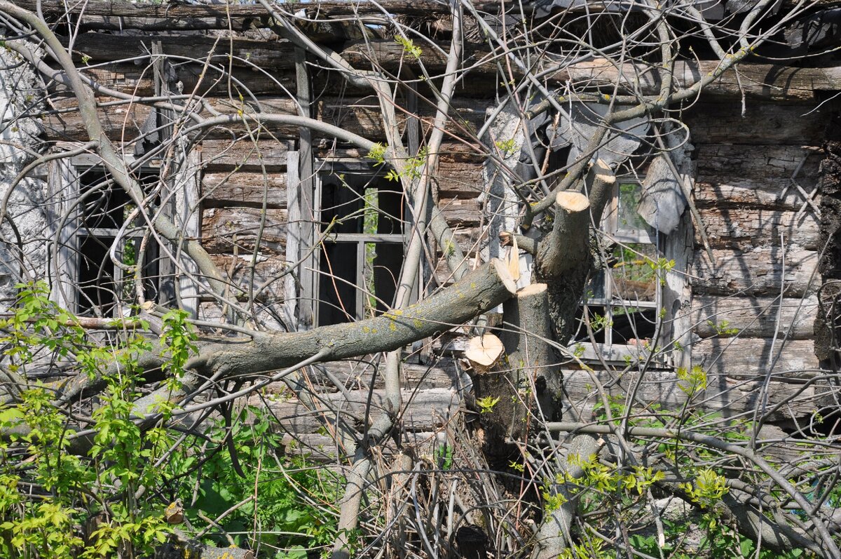 Нежилых, людьми брошенных хат, пустота окон смотрит незряче... Фото автора.