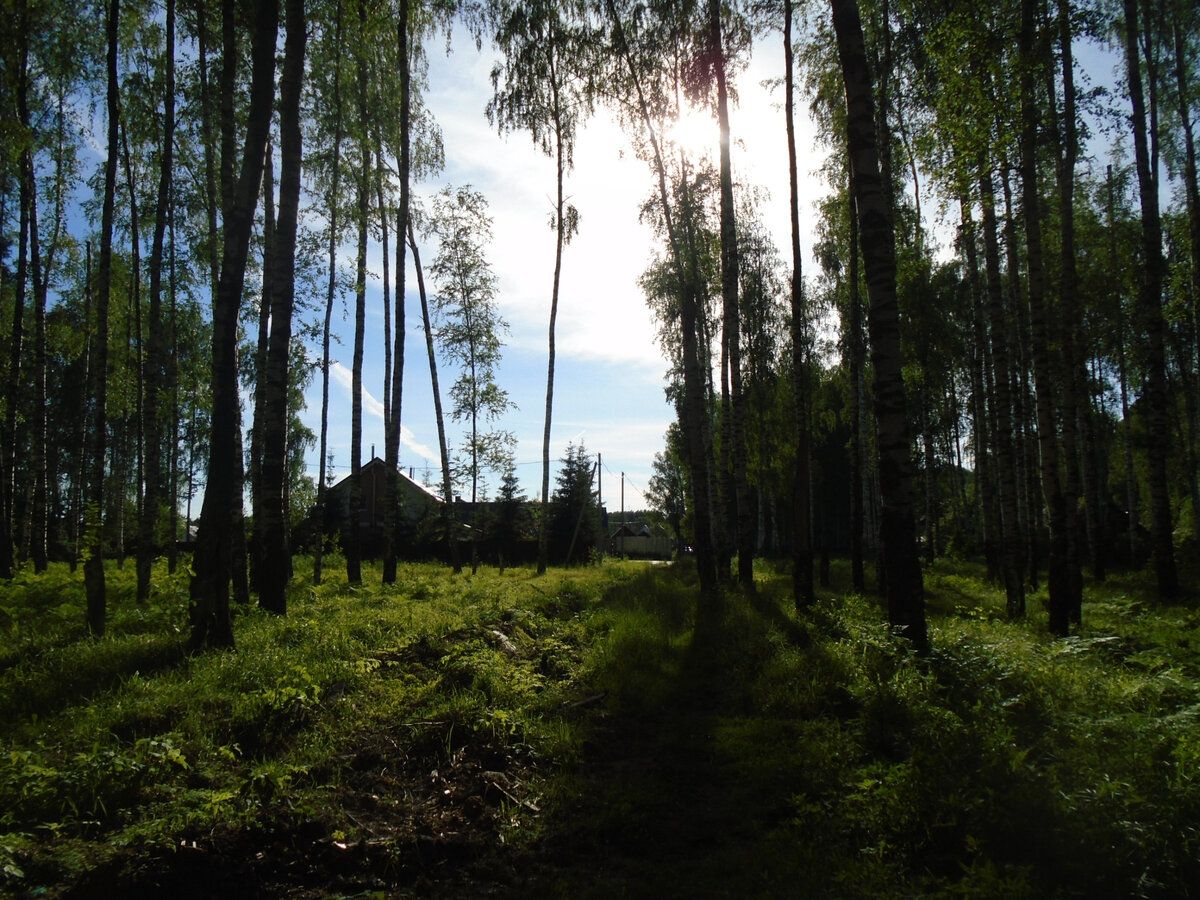 Позади - поселок