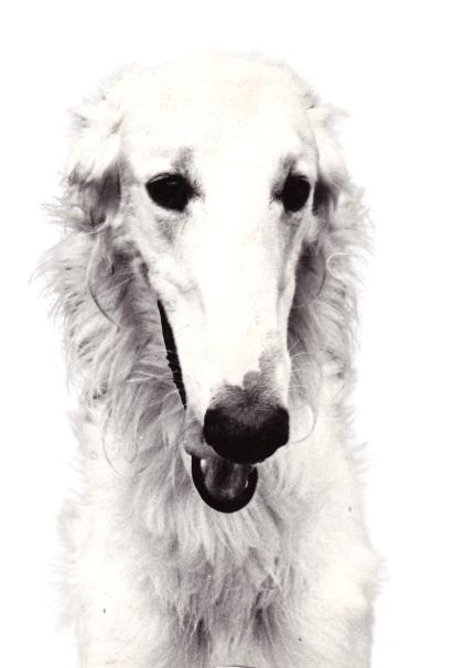 Лютый Князь Азарт - прототип Свирепа. Фото из личного архива