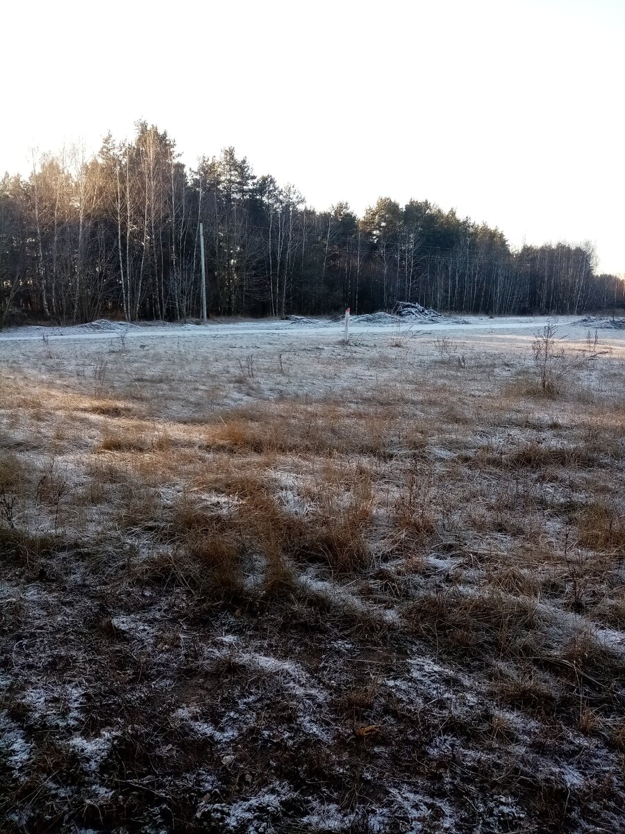 Вот оно, поле