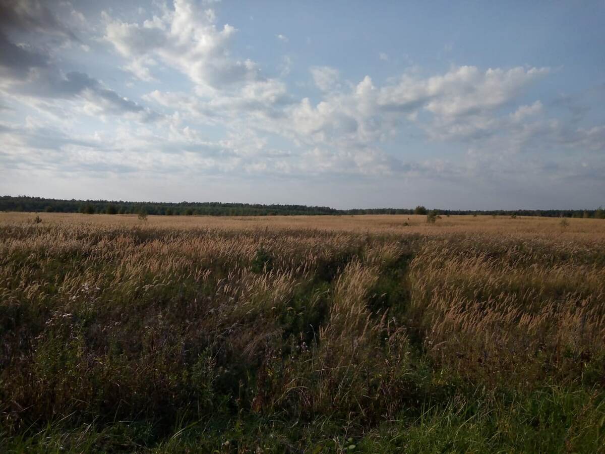 Красота