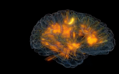 Ученые разработали набор новых малых молекул, которые могут нарушить механизм, посредством которого нейроны становятся дисфункциональными при болезни Альцгеймера