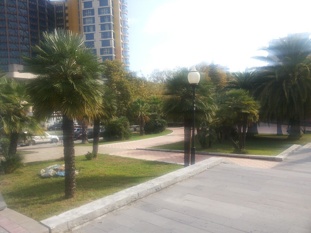 Фото автора.