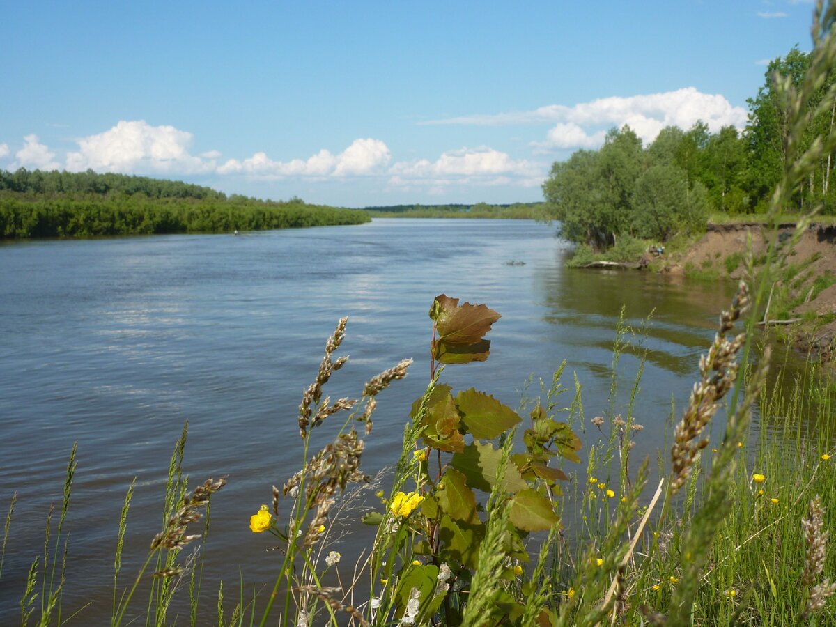 Река. Но это река Иртыш обтекает остров. Фото из личного архива.