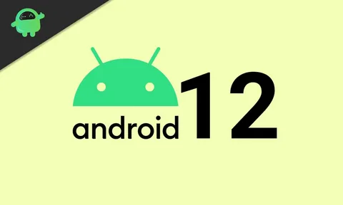 Android 12. Источник фото: https://clck.ru/UCp4a