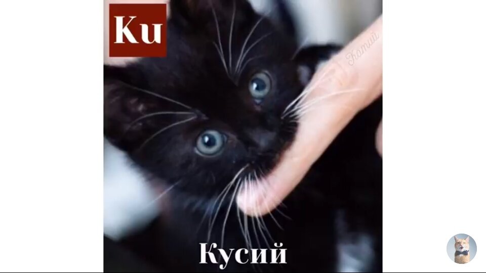 таблица мяуделеева