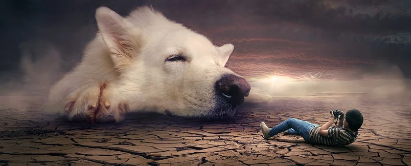 Источник: Pixabay