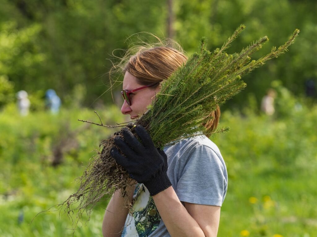 Фото: предоставлено пресс-службой РусКлиматФонда