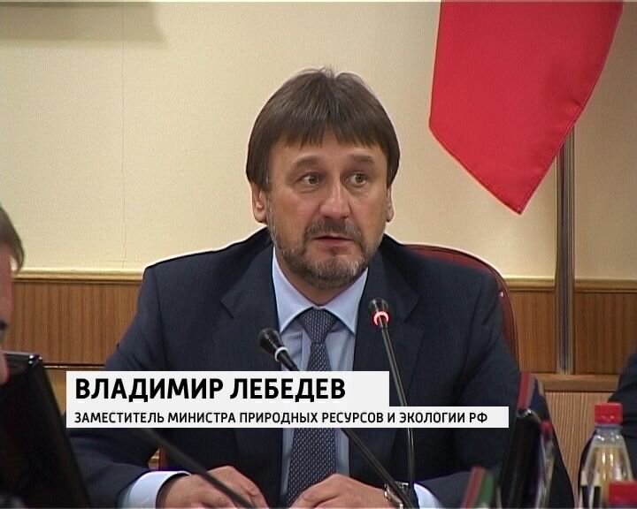 Заместитель министра природных