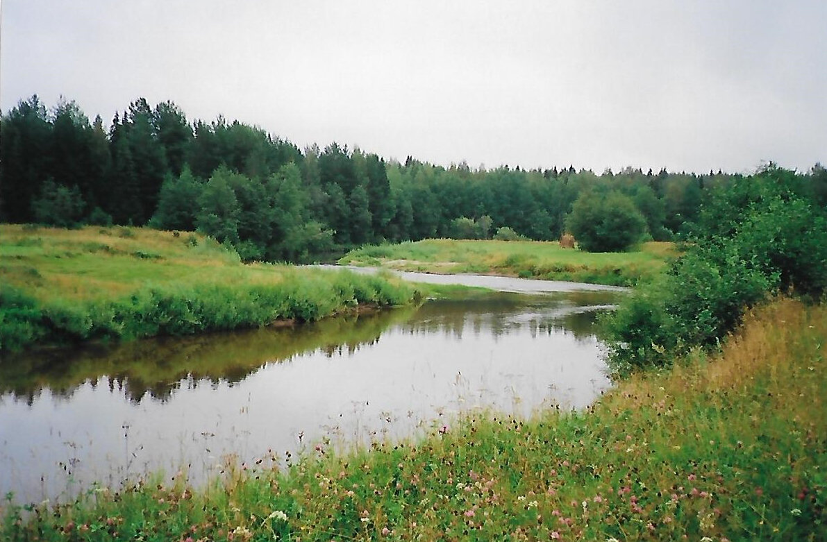 Луга на р. Кипшеньга: Великое, Каднево