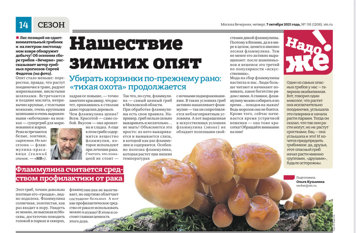 Статья на бумаге