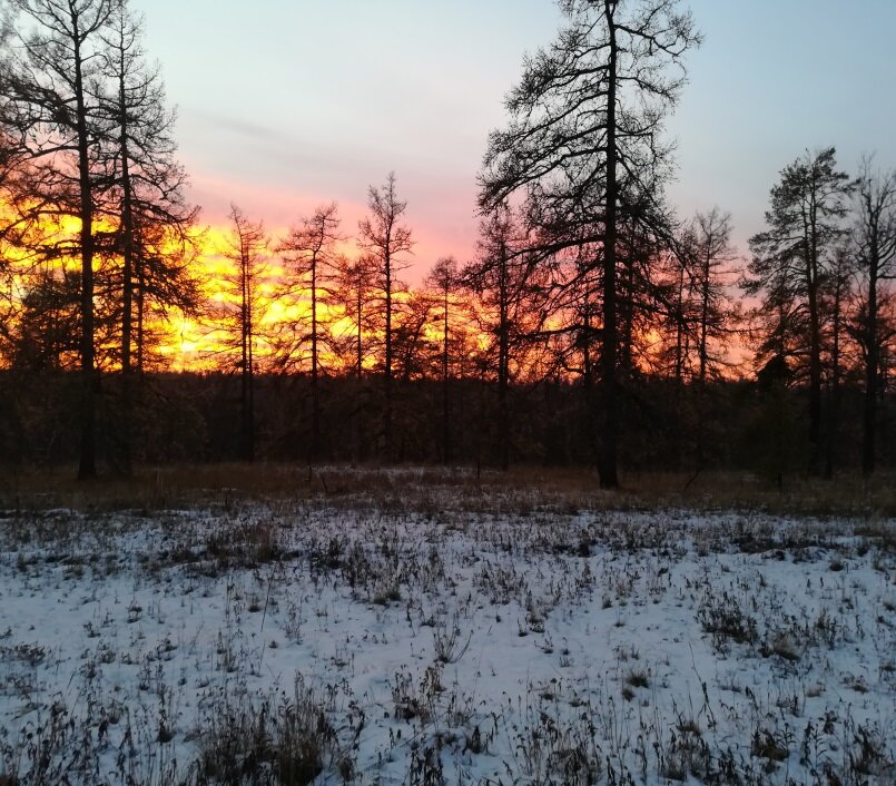 Время года осень. Вечер. Закат. Первый снег покрыл землю. 