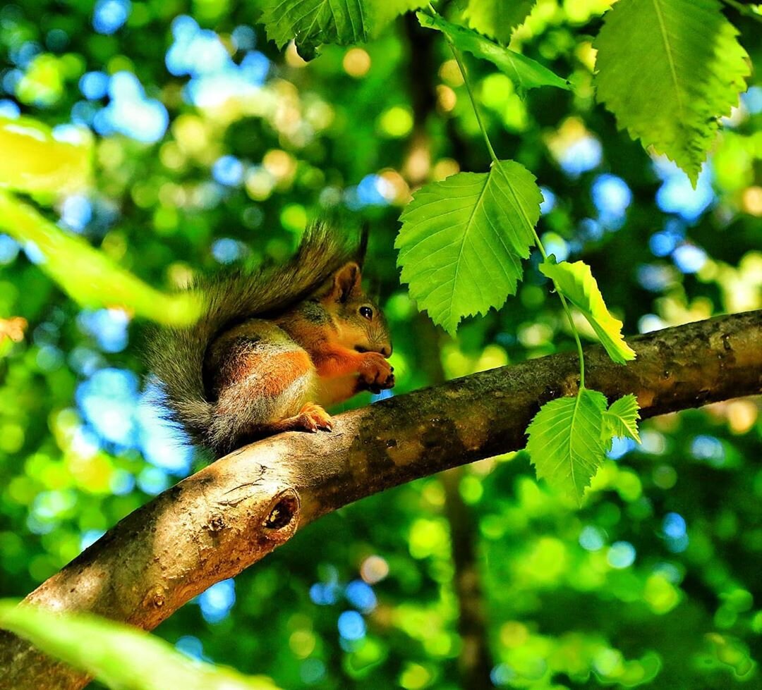 фото с сайта localfeed.ru