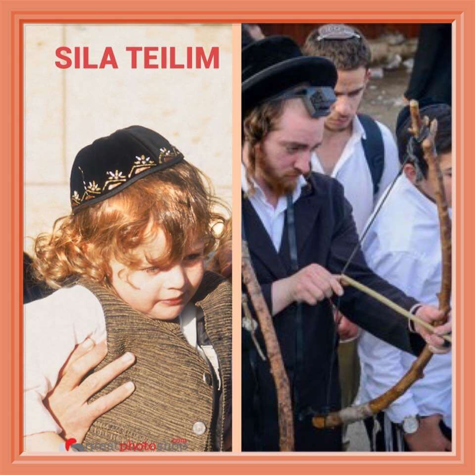 https://silatehilim.com/сгула-на-рождение-сыновей-из-теилим/