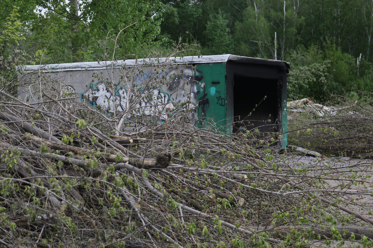 Парк в пойме реки каменка новосибирск проект