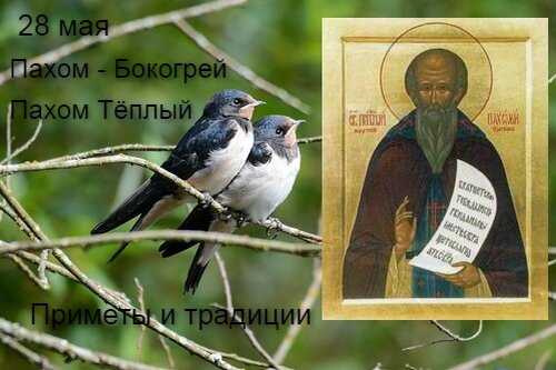 Сидор бокогрей 27 мая картинки с надписями