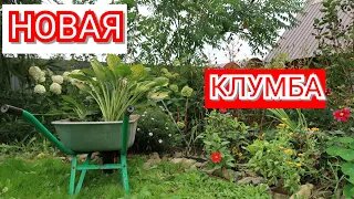 Новая КЛУМБА. Хосты. Как сделать клумбу СВОИМИ РУКАМИ для сада и дачи.