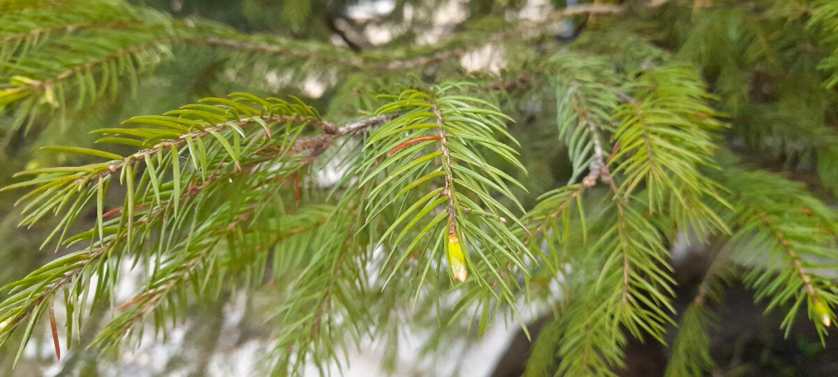 Просто для обложки