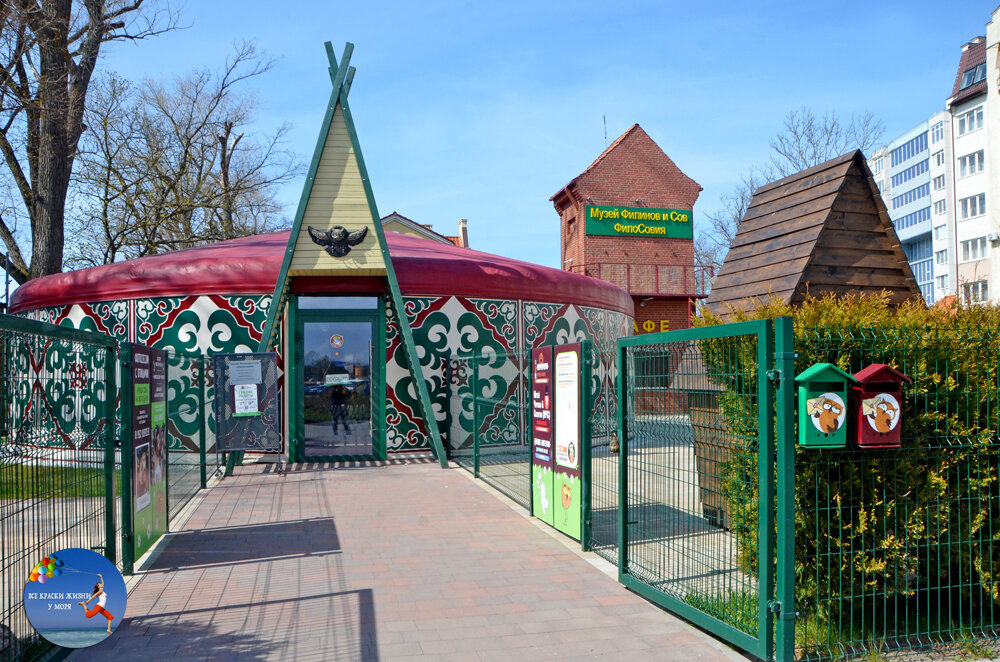 Вход в Музей филинов и сов "ФилоСовия". Фото автора