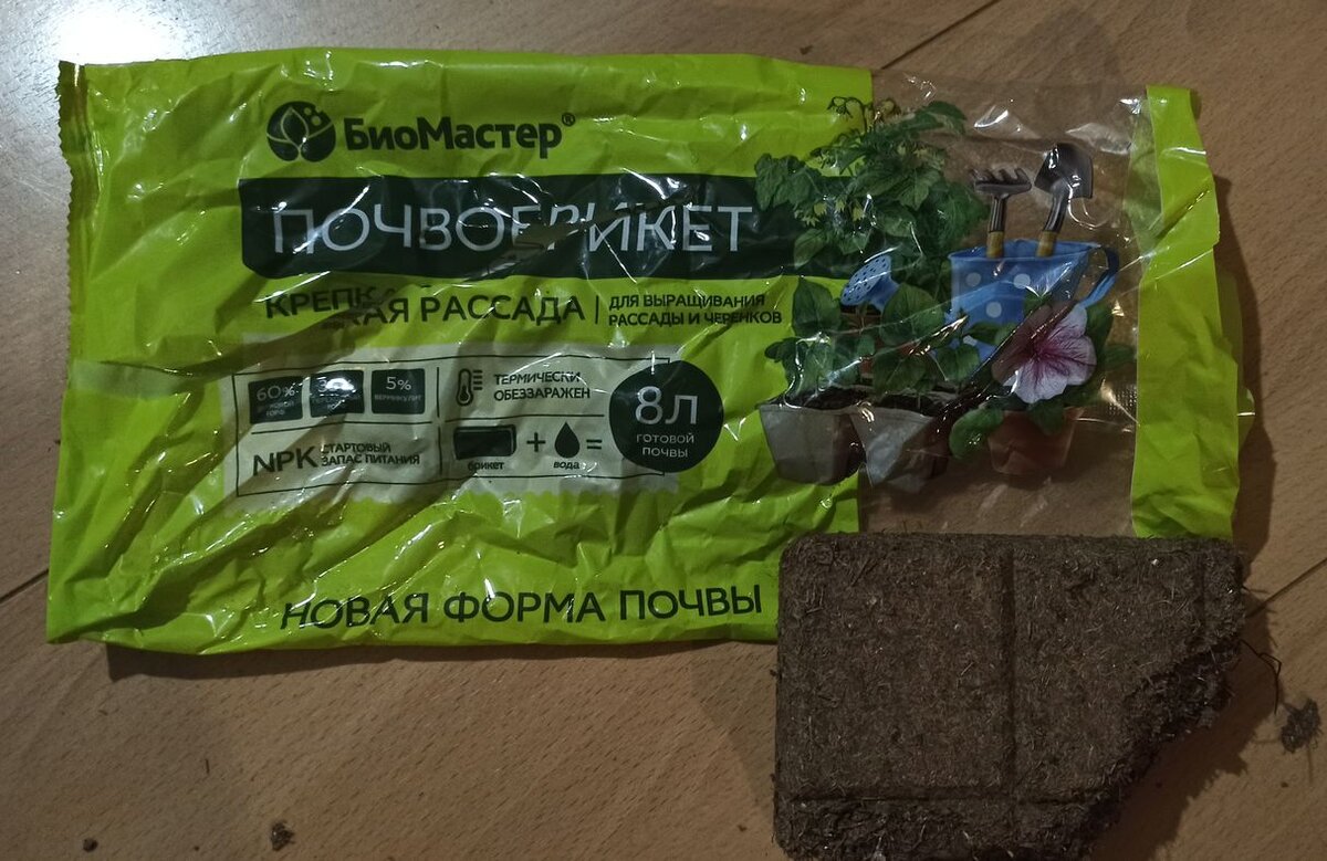 Половина брикета торфогрунта из Фикс Прайс оставалась после обустройства флорариума. Вот и пригодилось.