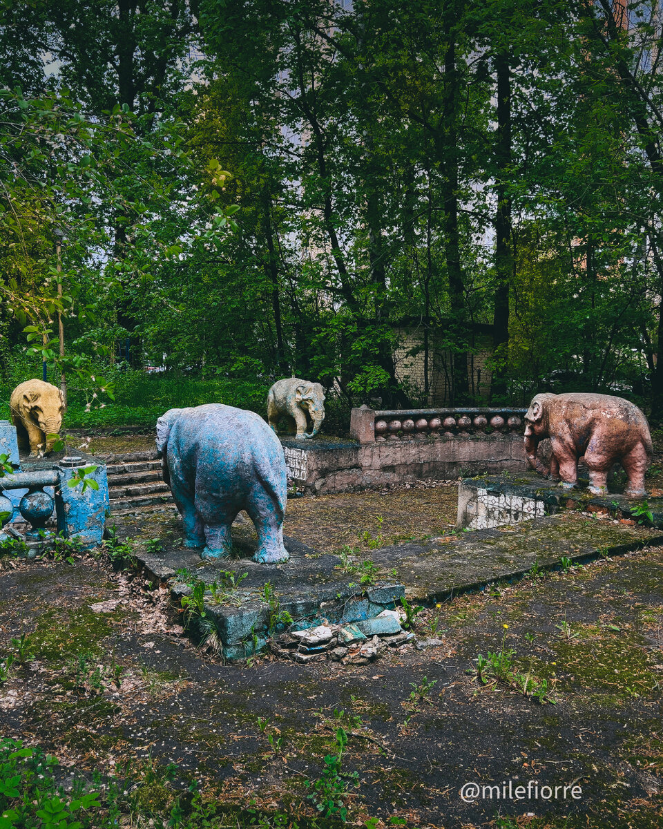 заброшенный бассейн москва