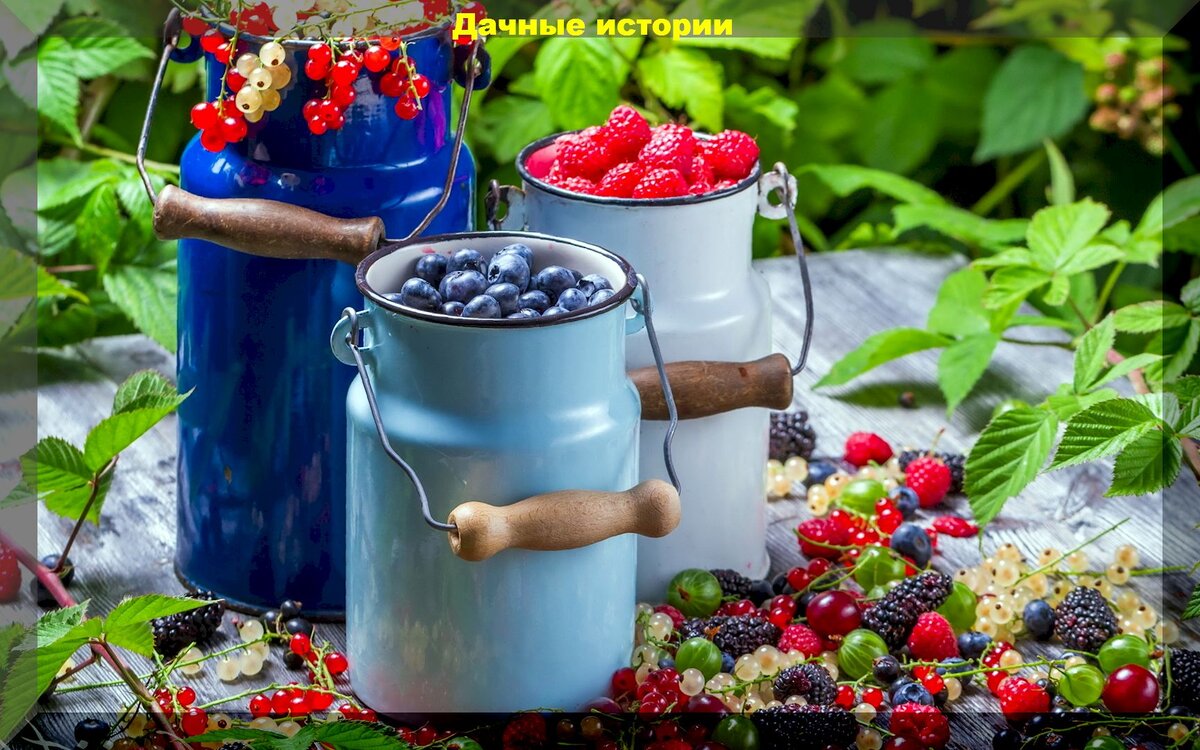 https://vk.com/photo-159774511_457254236