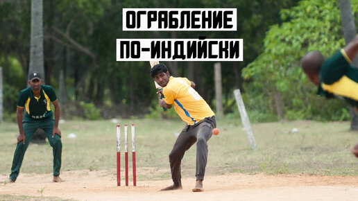 Мошенники из Индии создали фейковую крикет-лигу для обмана россиян