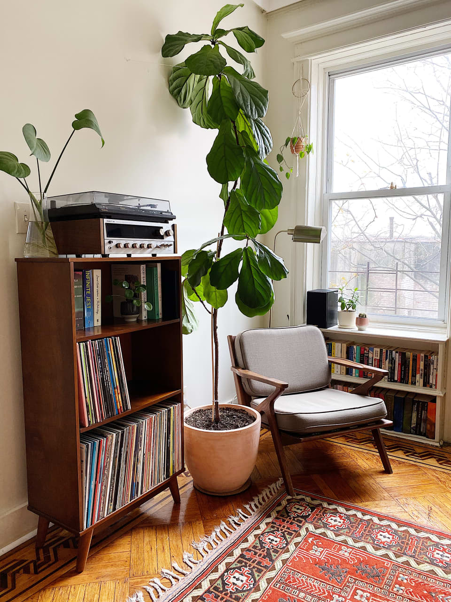 Кресла и книжные полки. Источник: pinterest.com
