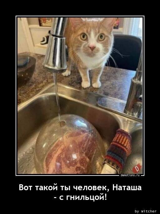 Юмора всё больше