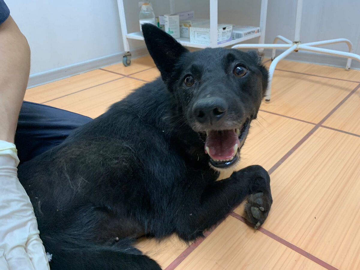 Крутимся, вертимся 