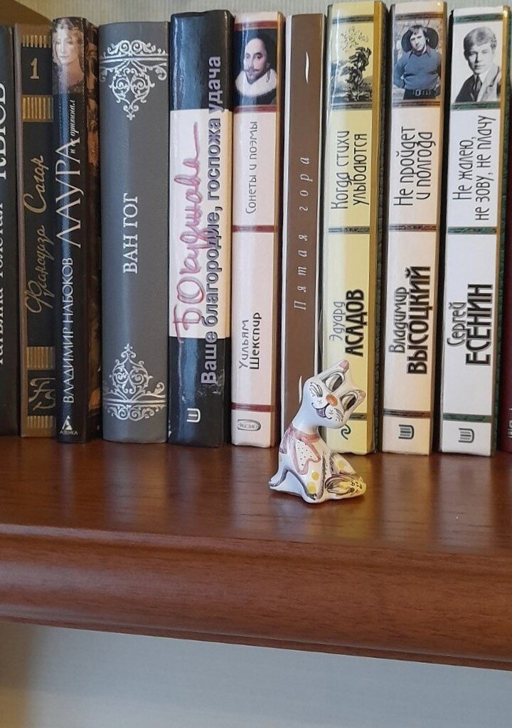 Моя коллекция книжек:)