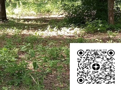 Фотография из личного архива автора