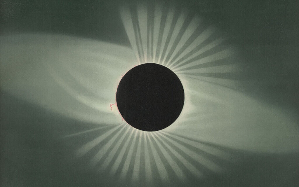    © The New York Public Library Digital Collections