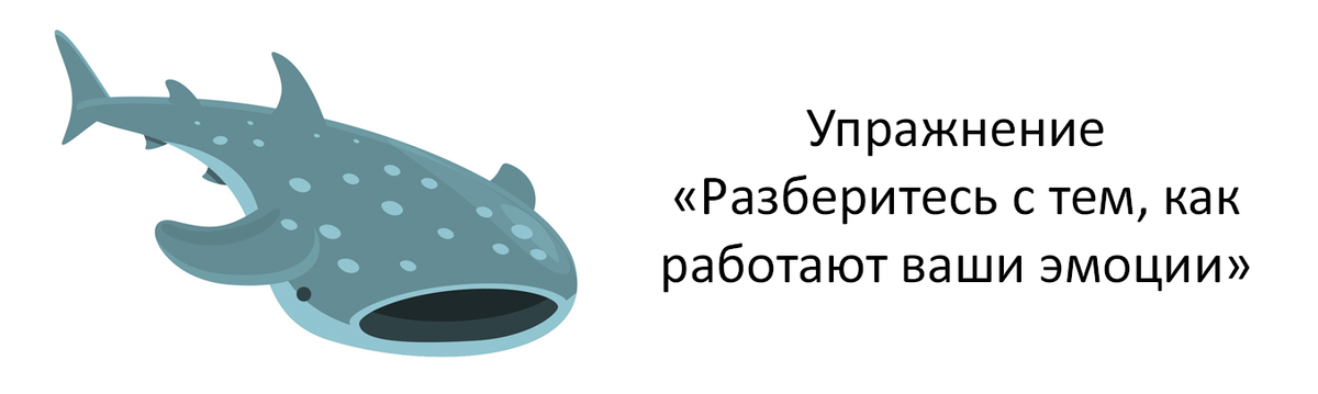 Да, это китовая акула)