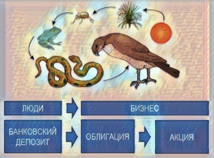 Редуценты рисунок - 53 фото