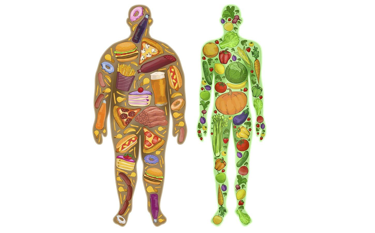 Мы есть то, что мы едим