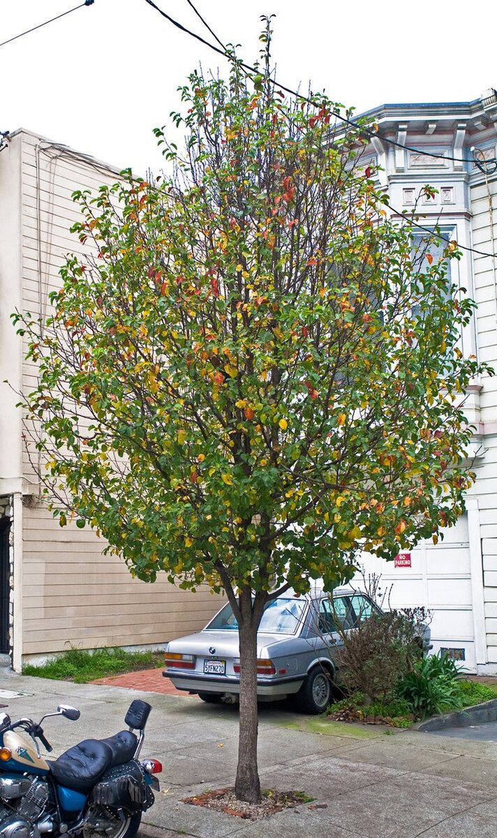 Фото: i.pinimg.com