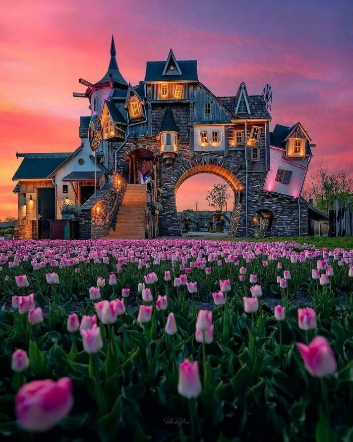 Домик в Нидерландах. Источник: www.reddit.com/r/bizarrebuildings