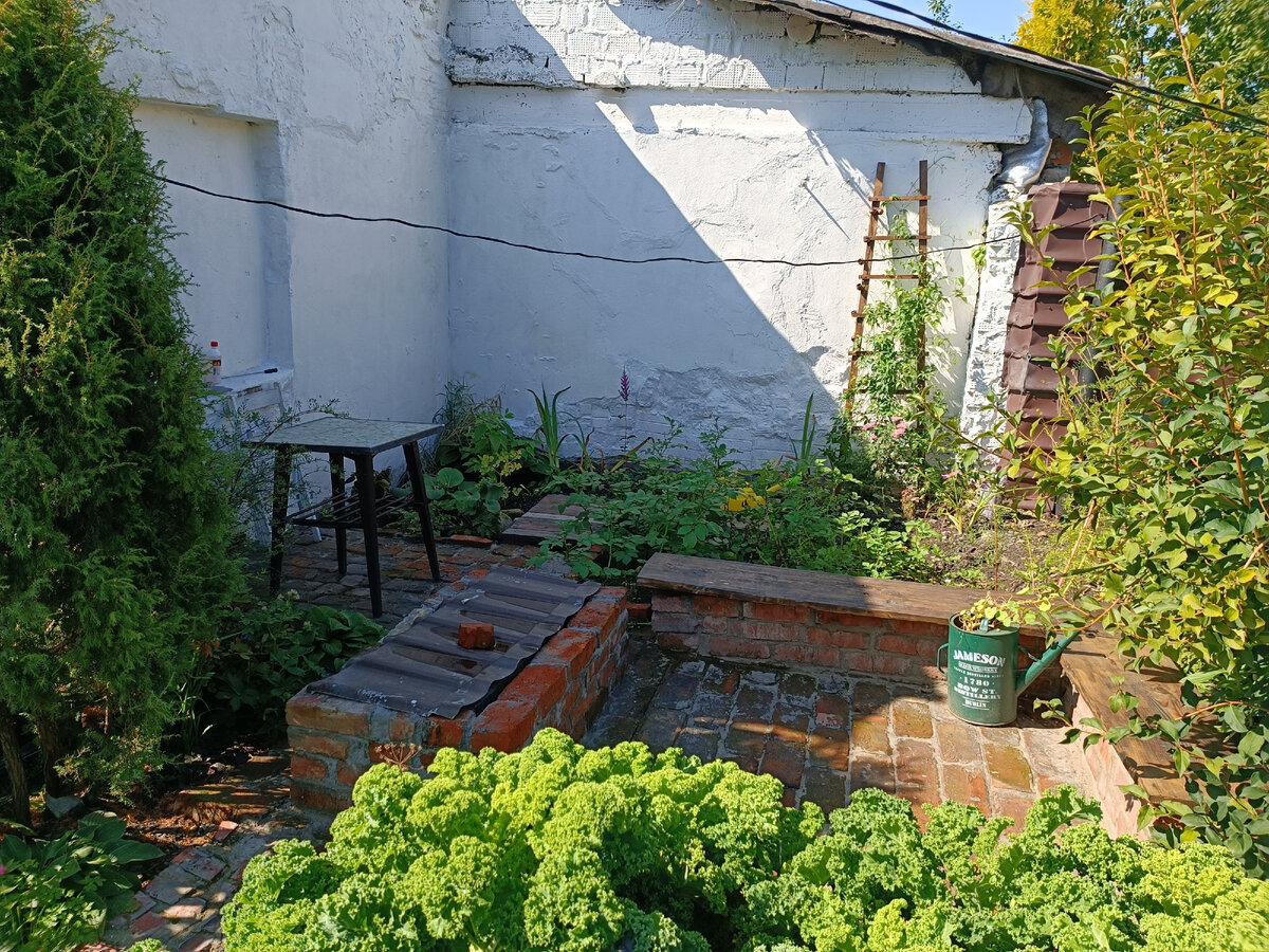 На переднем плане грядка с капустой Кале - как же она хороша что на вкус, что на вид