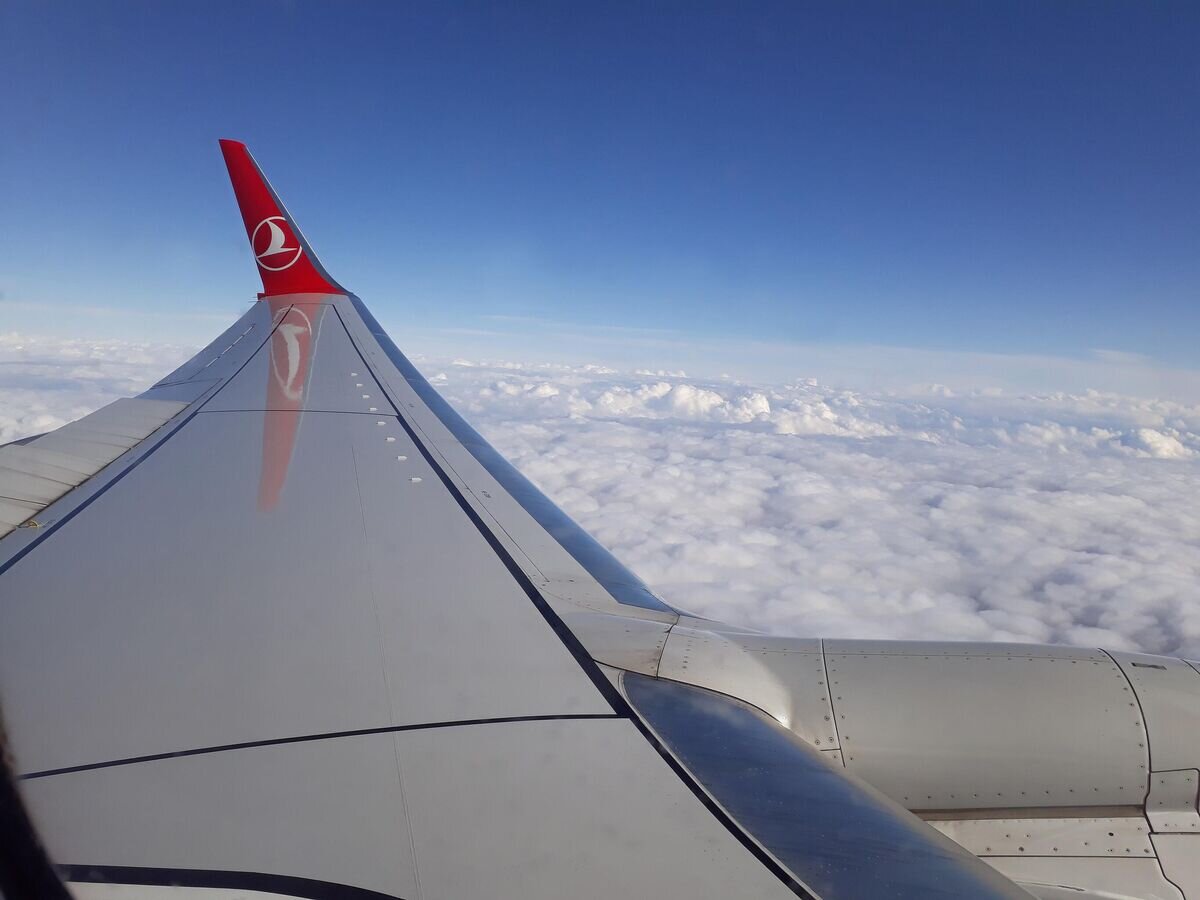    Самолет авиакомпании Turkish Airlines CC BY-SA 4.0 / Josef Moser / Turkish Airlines