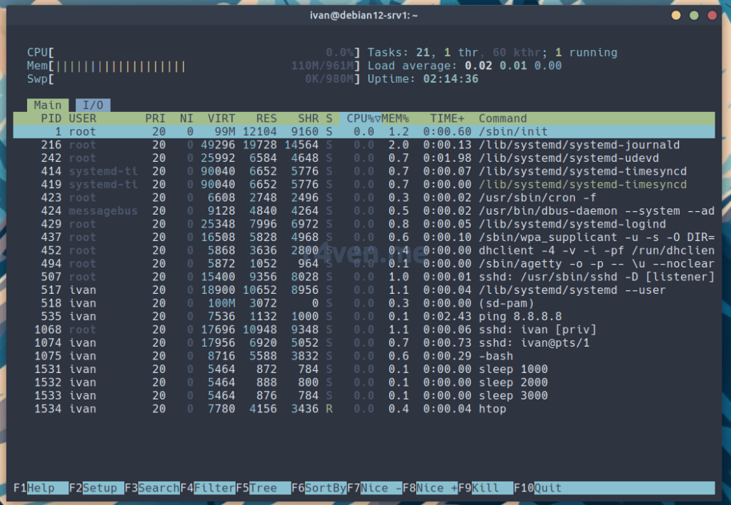Linux команда процессы. Структура командной строки в linux. pgrep linux. дерево процессов linux. htop.